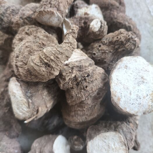 罗平县滇黔重楼，七叶一枝花