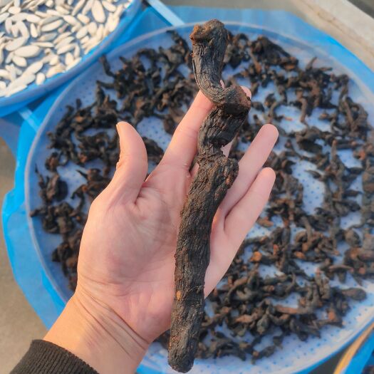 淄博制黄精，遵循老祖宗留下的炮制方法，九蒸九晒