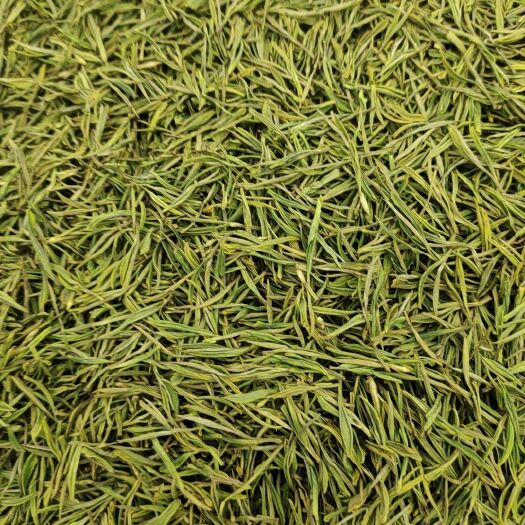 遂昌县白茶毛锋