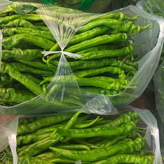 西昌市大凉山树椒螺丝椒泡椒大量现货，出货中。