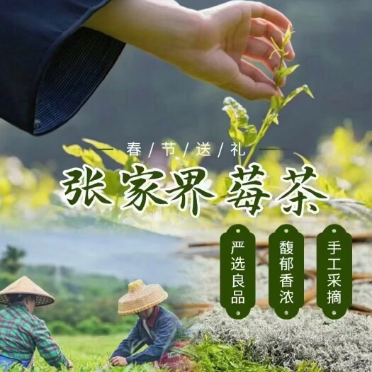 张家界莓茶张家界野生藤茶霉茶长寿茶