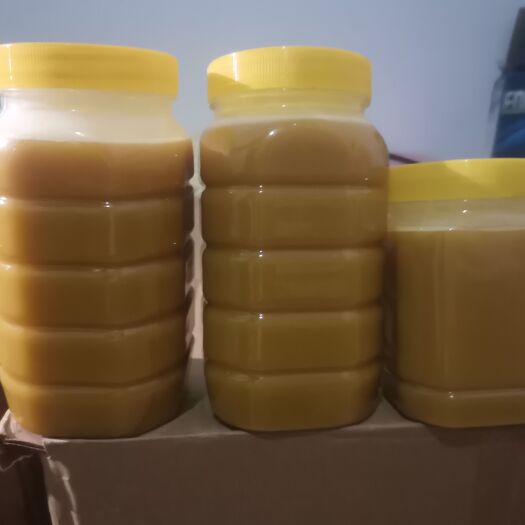 康縣一年取一次的土蜂蜜百花蜜