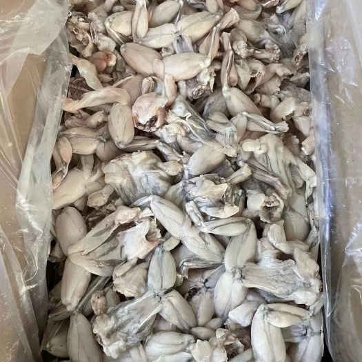 高邑县板冻鲜蛙 一只规格80-100g 一件20斤 价格有优势