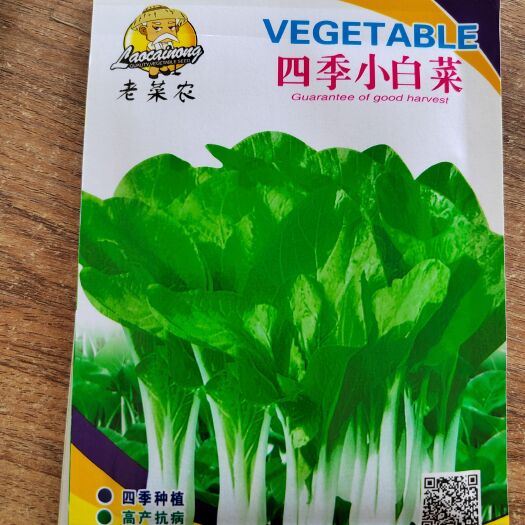 快大小白菜种子 四季小白菜青菜种鸡毛菜早熟蔬菜种子