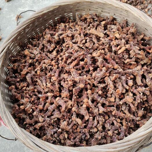 廉江市良姜   高良姜  良姜个  足干良姜  无流   大量现货