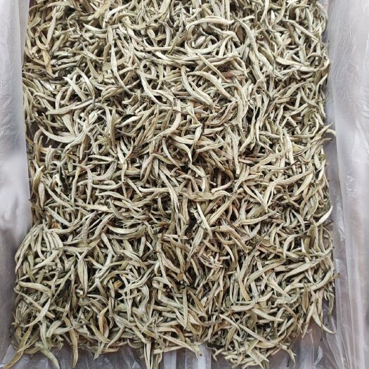 昆明景谷早春白毫银针