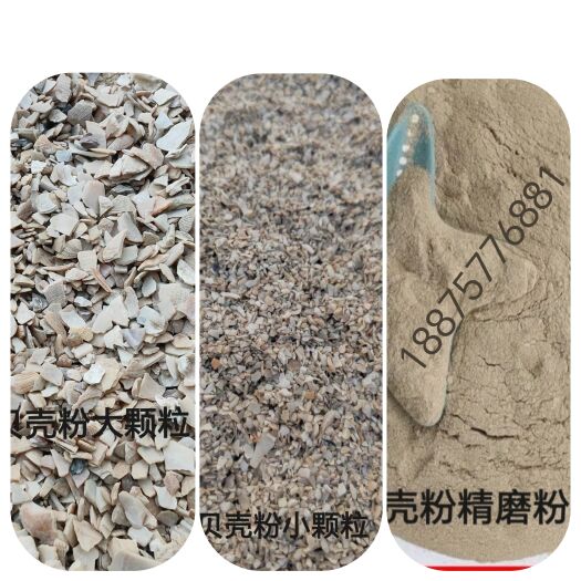 高钙贝壳粉家禽牲畜水产补钙高钙 出厂价运费自理量大优惠