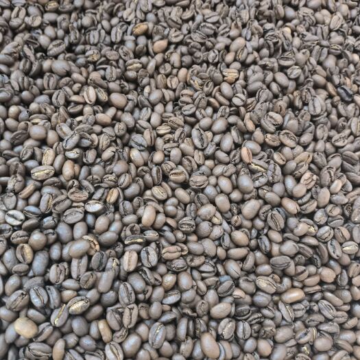 思茅咖啡豆