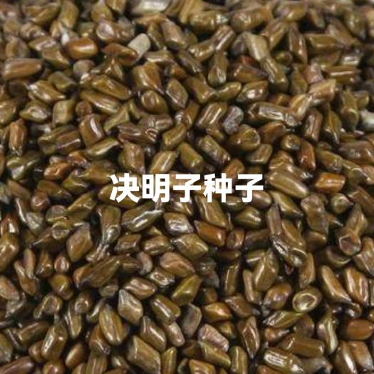 林州市决明子