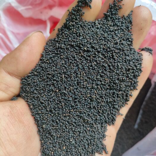 黎平县虫茶 虫屎茶 龙珠茶 养身茶 一手货源。