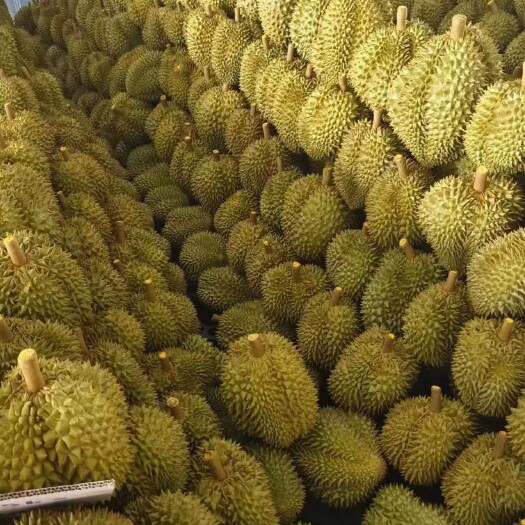 广州好货，不接受了解垃圾来比，这边主打的就是品质品质