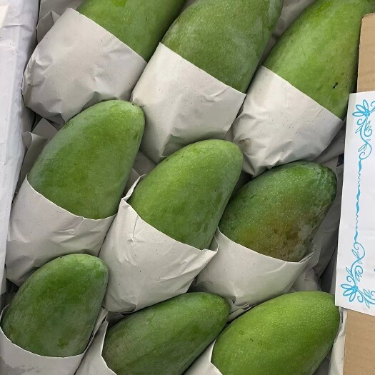 凭祥市大青芒
