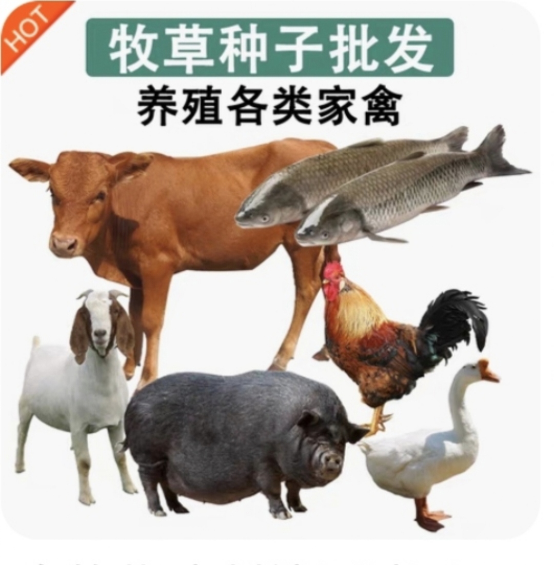 貴州強(qiáng)維種業(yè)有限公司