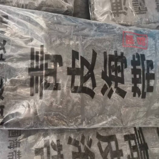 霞浦县福建霞浦纯青无沙海带二两片
