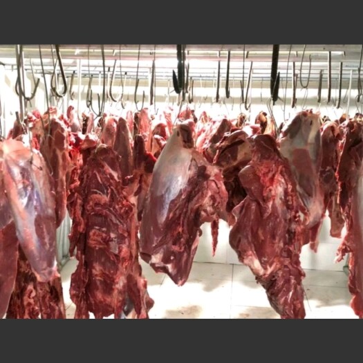 围场县草地黄牛肉，纯干无水。