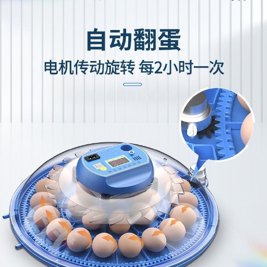 德州养殖孵化机家用小型孵蛋器小飞碟孵化器孵蛋箱