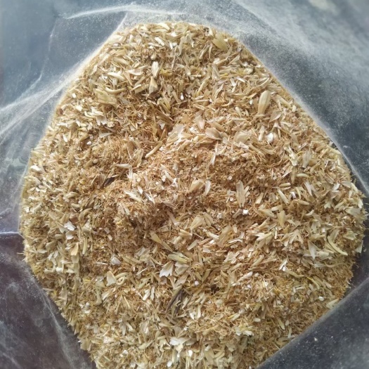 石家庄麦芽根