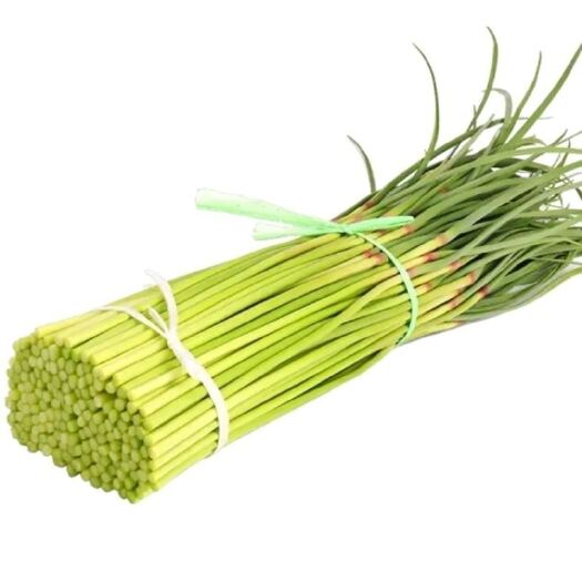 邳州市蒜苔产地批发
