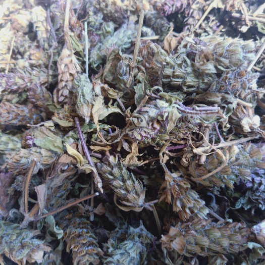 洛南县陕西商洛高含量夏枯球
