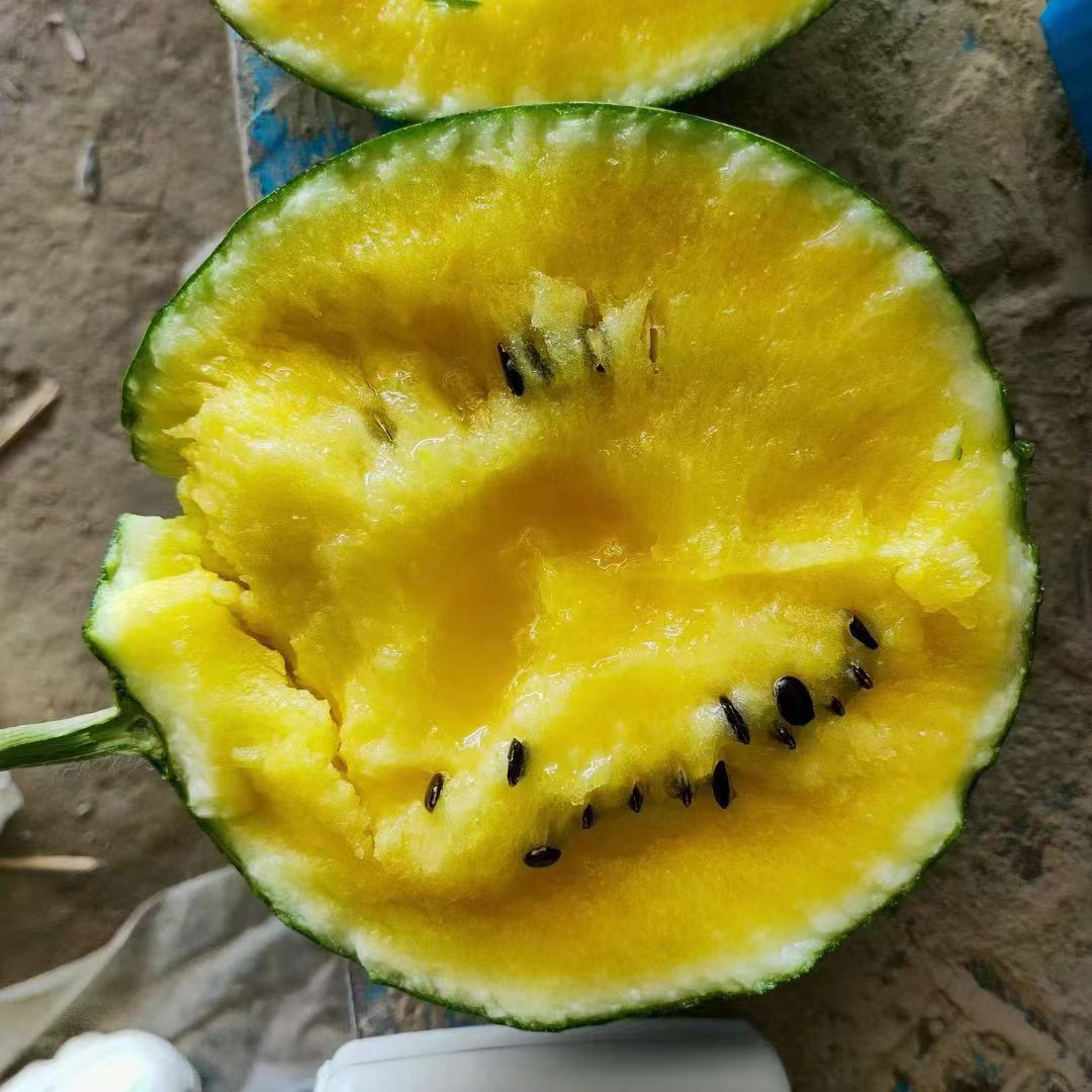 特小凤西瓜诚信代办保质保量