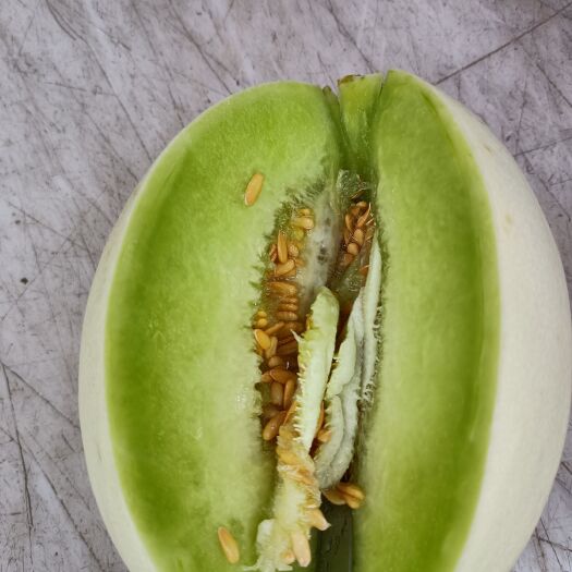 上海上海玉菇甜瓜