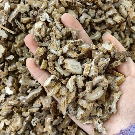 百部  优质百部 规格齐全产地一手货源 可供实体店批发零售