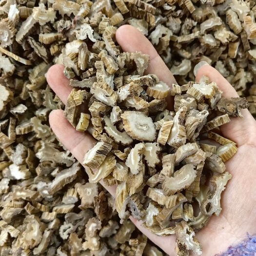 亳州百部  优质百部 规格齐全产地一手货源 可供实体店批发零售