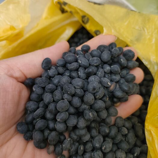 五华县小黑豆农家自产非即食……