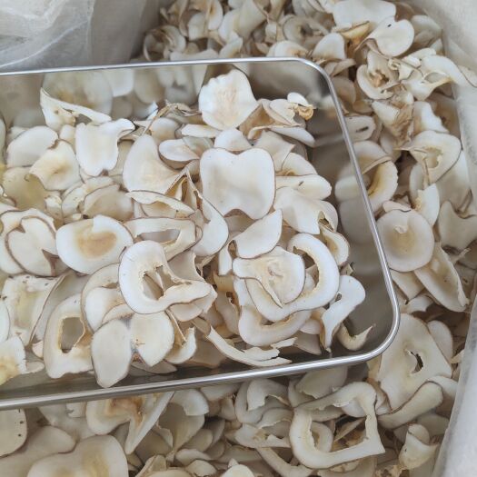 普宁市 海底椰中药材 新鲜海底椰片 煲汤材料浓香干货无硫海底椰批发