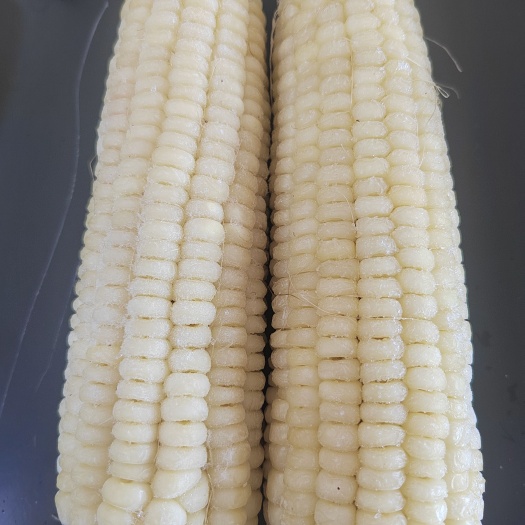 甜糯鲜玉米