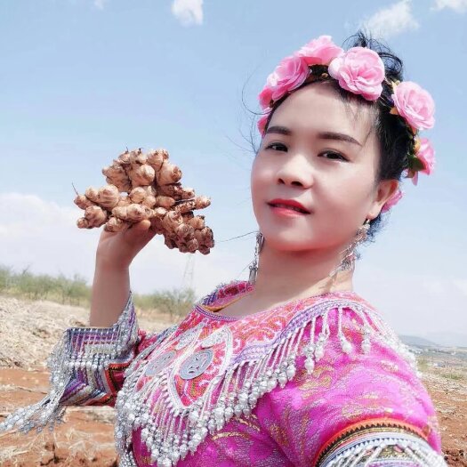 蒙自市云南小黄姜