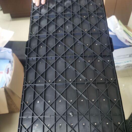 来宾九寸秧盘，质量超好。欢迎过来洽谈。