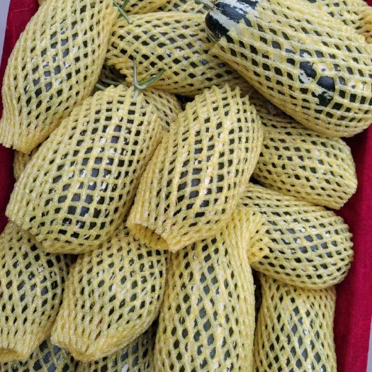 大荔县陕西渭南大荔博阳九甜瓜大量上市