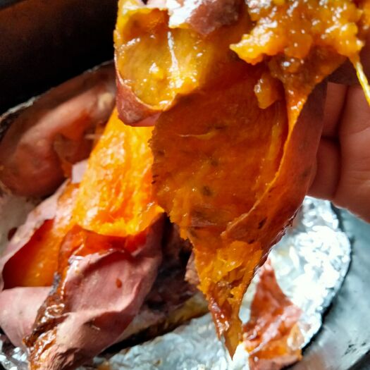 滦州市要想吃好红薯，就选唐山烟薯25。