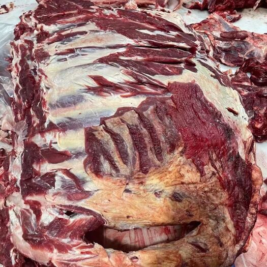 围场县牛骨 满肉牛排。整排。可以定做。好牛排。