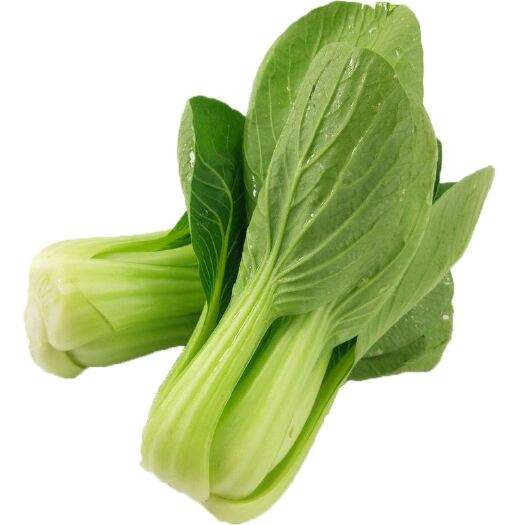 上海小青菜，量大从优，上海周边今天要明天到