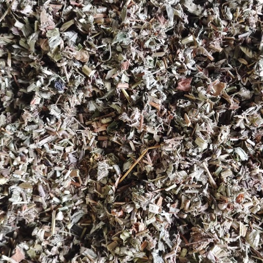 南阳全棵艾草切段