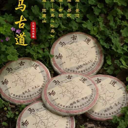 昆明2003年茶马古道普洱生茶易武景迈冰岛布朗山困鹿山