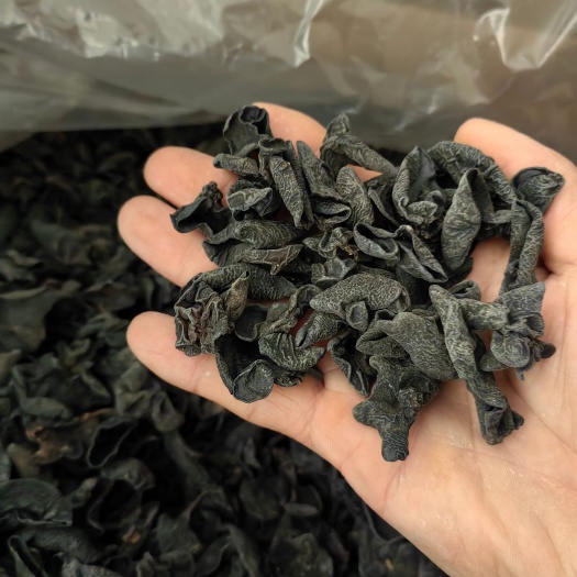 东北黑木耳干木耳椴木耳小碗耳无根肉厚电商专业地摊包邮泡发清水