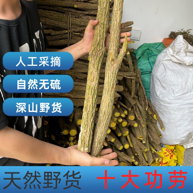 贵州深山十大功劳中草药中药材土黄连黄连土黄柏功劳木根黄连