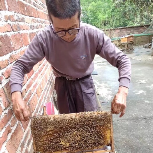 于都县于都县小溪乡屏山脚下农家自产蜂蜜没有添加剂自然结晶