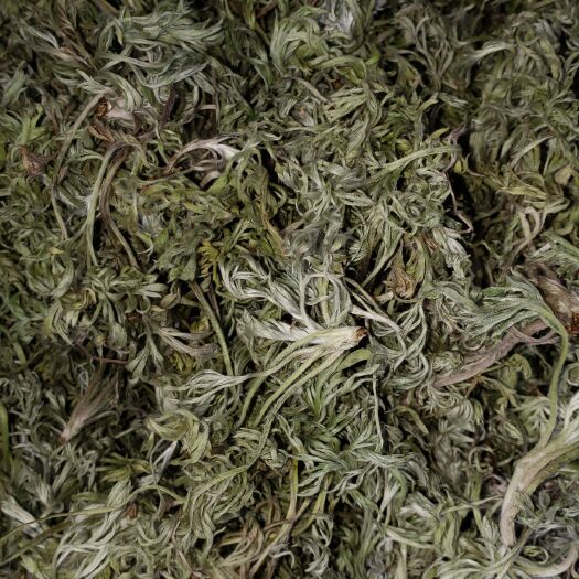陇县供高含量茵陈，非诚勿扰。