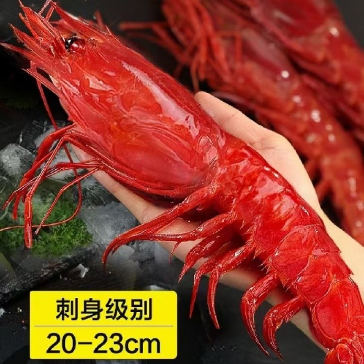 上海国产特大红魔虾规格齐全超低价格质量保证酒店自助餐