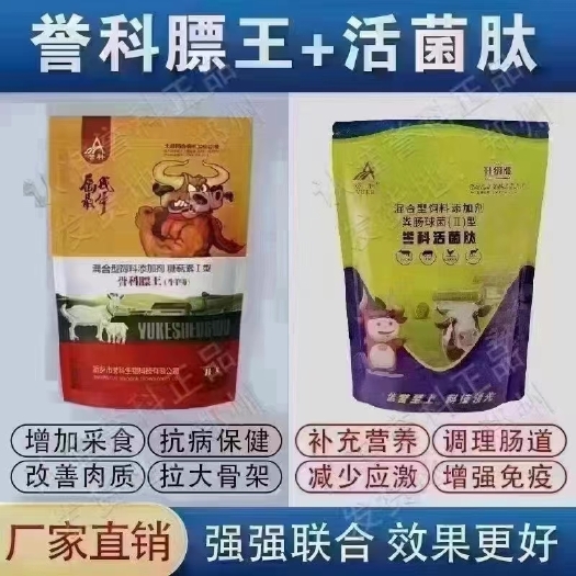 原阳县誉科膘王+活菌肽，黄金搭档给牛羊增肥上膘拉骨架调理肠胃