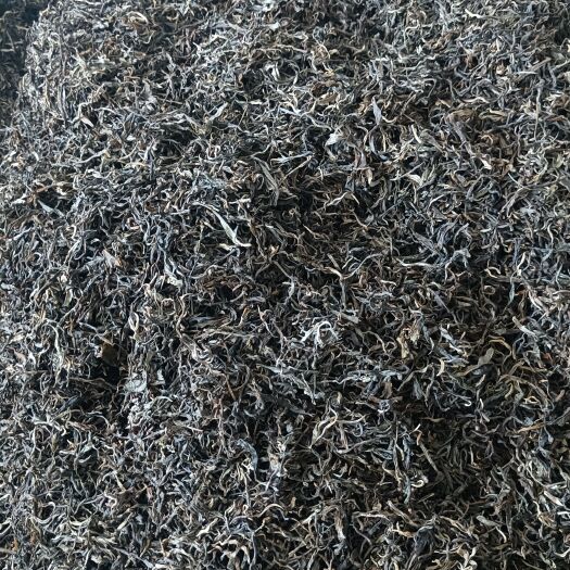 思茅普洱茶