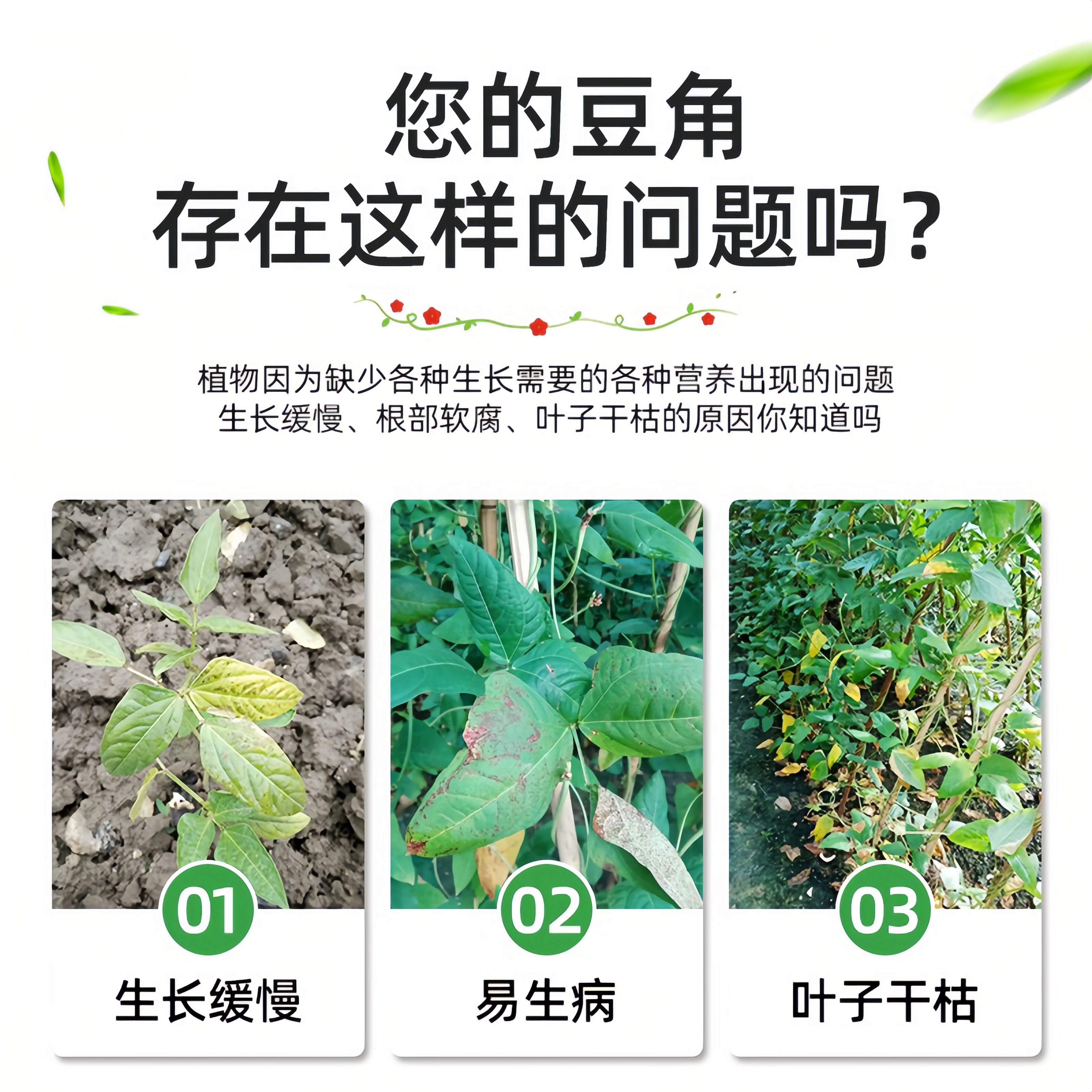豆角用肥20公斤装豆满棵矿源黄腐酸型中量元素水溶肥