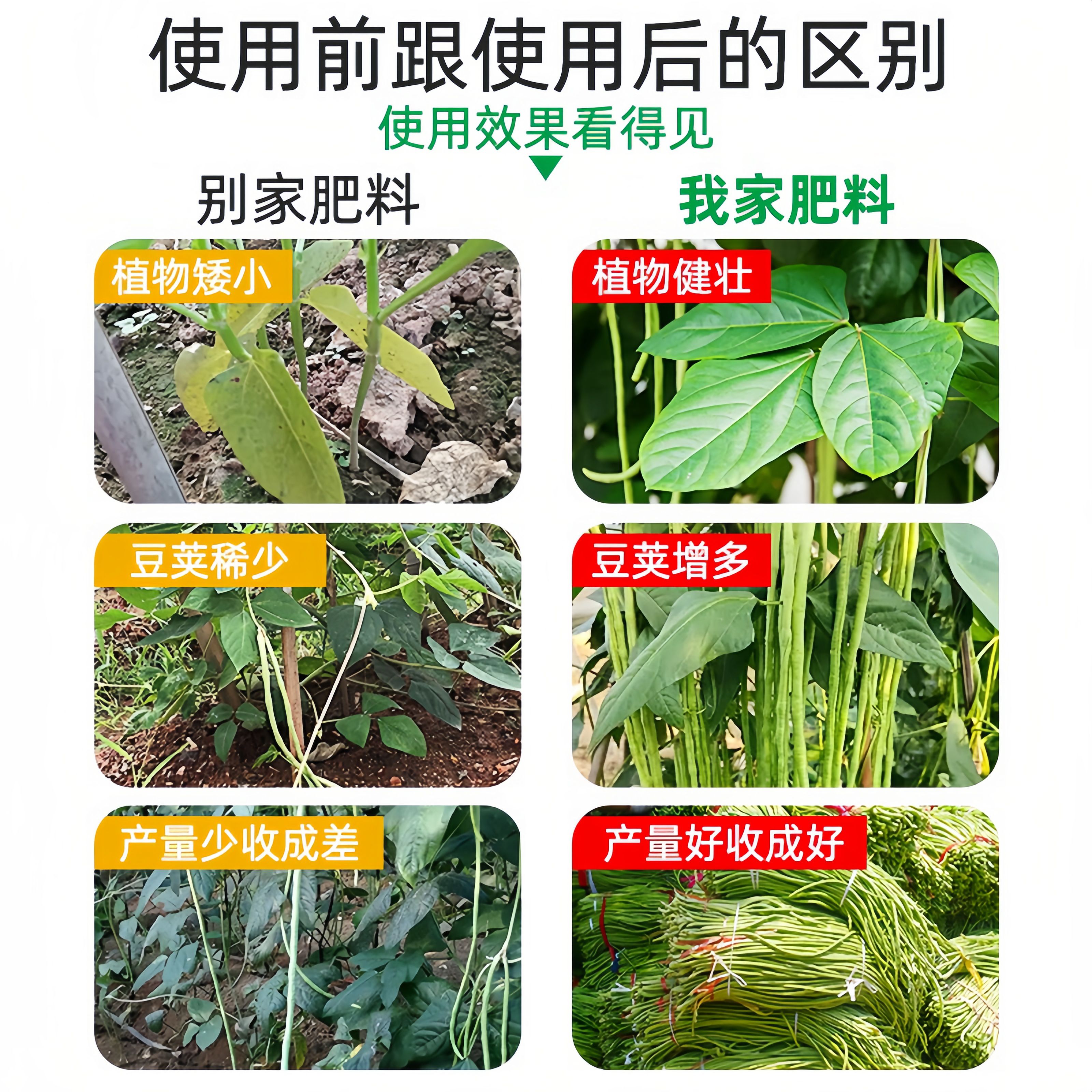 豆角用肥20公斤装豆满棵矿源黄腐酸型中量元素水溶肥
