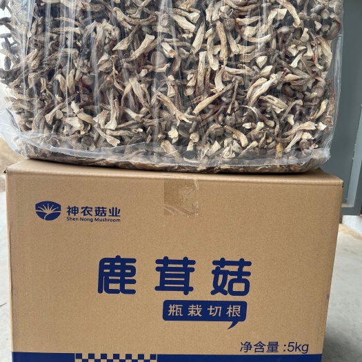顺昌县鹿茸菇干品