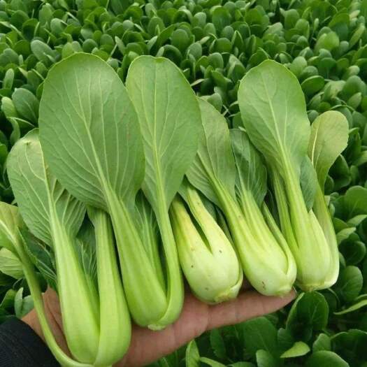 上海量大从优，上海周边当天到货