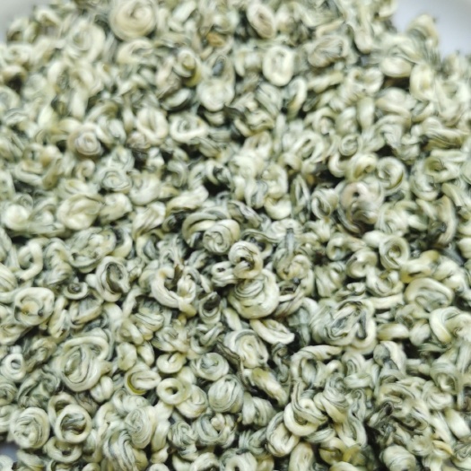 昆明云南茶农自产全芽碧螺春2023新茶碧螺春绿茶叶明前春茶浓香型